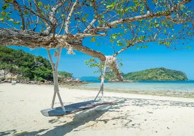 a tree on a beach with the ocean in the background at Dusit Thani Krabi Beach Resort in Klong Muang Beach