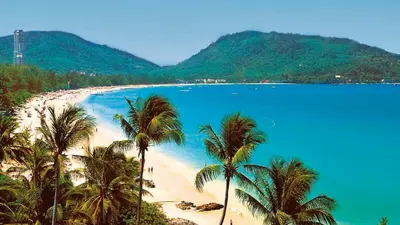 a group of palm trees on a beach with blue water at Art Patong Residence in Patong Beach