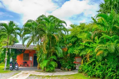 a house with palm trees in front of it at Chez Charly Bungalow in Nai Yang Beach