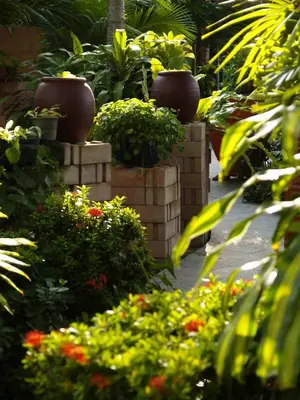 a garden with many pots of plants and flowers at Safari Beach Hotel Patong in Patong Beach