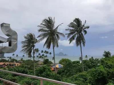 a view of palm trees from a balcony at Seaworld Guesthouse in Ao Nang Beach
