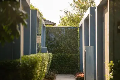 a hedge grows on the side of a fence at Villa 3 Bedrooms with private pool at Wings Pasak in Bang Tao Beach