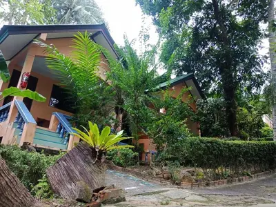 a house with a palm tree in front of it at Anawin Bungalows in Ao Nang Beach