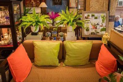 two yellow and orange pillows on a couch in a store at Pro Andaman Place in Karon Beach