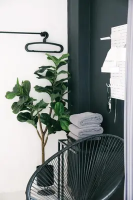a black bathroom with a plant and a rack with towels at Blu Monkey Phi Phi Island in Phi Phi Don