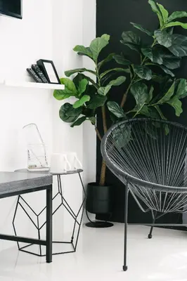 a desk and a chair next to a potted plant at Blu Monkey Phi Phi Island in Phi Phi Don