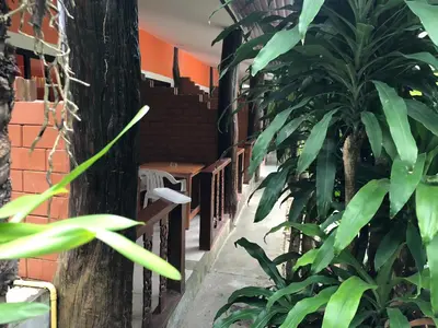 a plant next to a brick building with stairs at Ruan Mai San Ngam Resort - SHA Plus in Nai Yang Beach