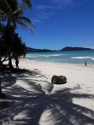 a shell on a beach with people in the water at PorterHouse Beach Hotel in Patong Beach