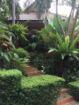 a garden with a bunch of green plants and trees at Baan Vanida Garden Resort in Karon Beach