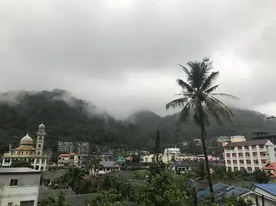 a city with a palm tree in front of a mountain at The Deck Patong by VIP in Patong Beach