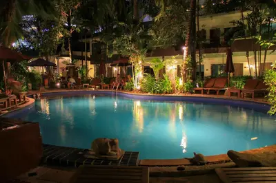 a large swimming pool with two dogs laying in it at The Viridian Resort Patong in Patong Beach