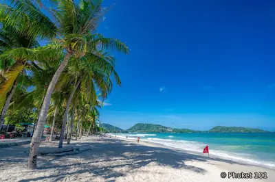 a beach with palm trees and the ocean at Princess Kamala Beachfront Hotel - SHA Extra Plus in Kamala Beach