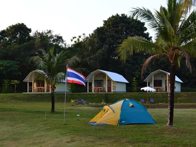 a tent in the grass next to two palm trees at Phuket Campground in Mai Khao Beach
