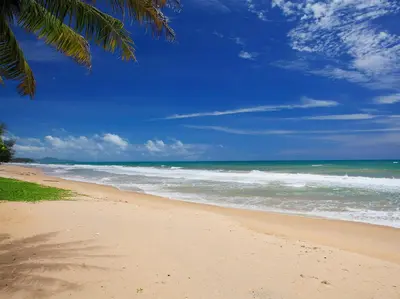 a beach with a palm tree and the ocean at Villa Nandana by Elite Havens in Natai Beach
