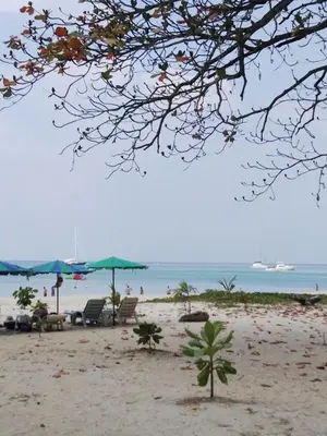 a beach with chairs and umbrellas and the ocean at The Beach Residence by EHM in Nai Yang Beach