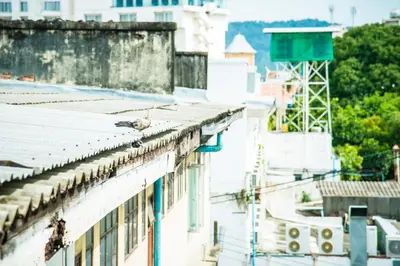a bird sitting on the roof of a building at Peranakan Boutique Hotel - SHA Plus in Phuket Town