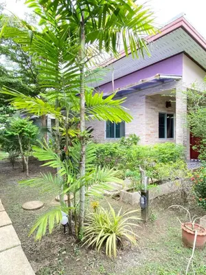 a palm tree in front of a house at Canal Resort in Nai Yang Beach