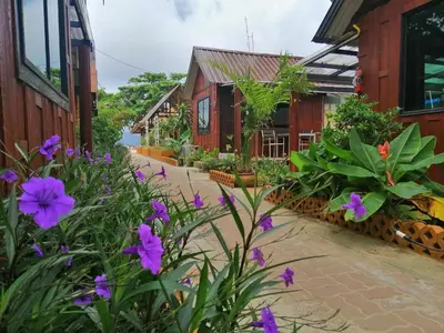 a garden with purple flowers in front of a building at Phi Phi Long Beach Bungalow ( Had Yao) in Phi Phi Don
