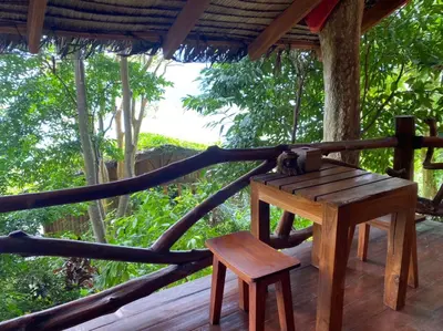 a wooden table and bench on a porch with trees at Viking Nature Resort in Phi Phi Don