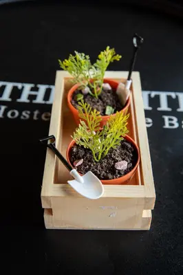 two potted plants in a wooden box with a spoon at The Z Nite Hostel in Phuket Town