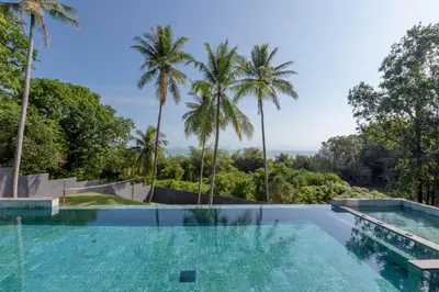 an infinity pool with palm trees in the background at Braya Villa in Ko Yao Yai