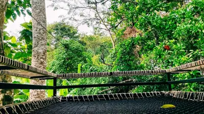 a bridge in the middle of a forest with trees at Nua Tone Resort Bang Tao & Cafe in Bang Tao Beach