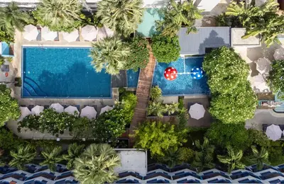 an overhead view of a swimming pool with a palm tree at Phuket Island View Resort - SHA Extra Plus in Karon Beach