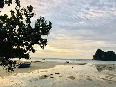 a beach with a tree and boats on the sand at The One Hostel Phi Phi Island in Phi Phi Don