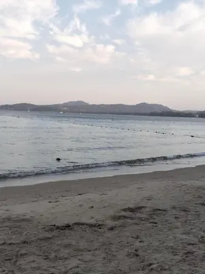 a beach with a group of birds in the water at Airee Mini House in Bang Tao Beach