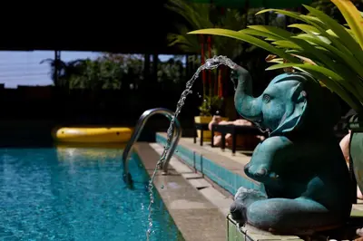 a statue of an elephant sitting next to a swimming pool at CC's Hideaway Kata - SHA Plus in Kata Beach