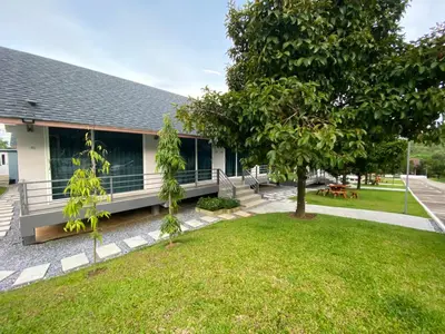 a building with a tree in front of it at Be Leaf Resort SHA in Thalang