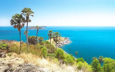 a view of the ocean from a hill with palm trees at 88 Hotel in Patong Beach