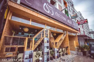 a store front of a building with a staircase on it at Cat Story Hotel in Patong Beach