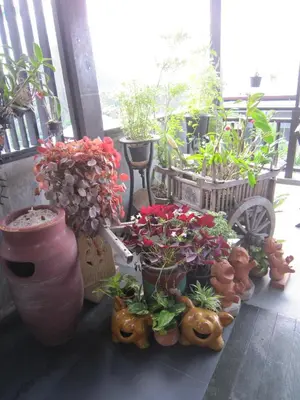 a group of potted plants and flowers on a balcony at Royal Nakara Ao Nang in Ao Nang Beach