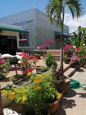 a garden with flowers and a bench and a building at Blue Sky Residence in Patong Beach