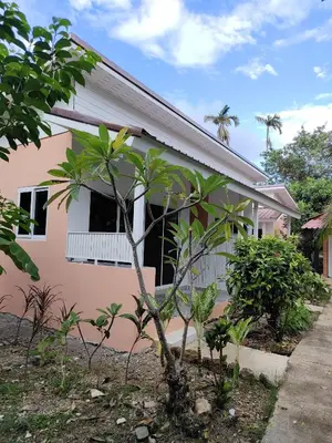 a pink house with a tree in front of it at Ban Elephant Blanc Bungalow in Kata Beach