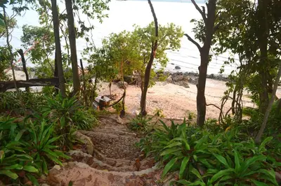 a dirt path leading to a beach with trees at Camp Hadee Koh Yao Noi in Ko Yao Noi