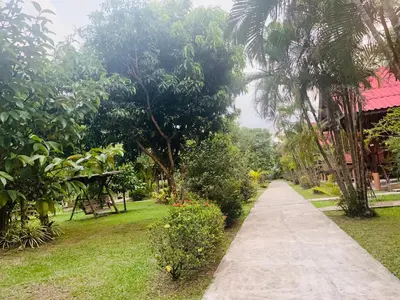 a path through a garden with trees and a building at Najjamee Bungalows in Ko Yao Noi