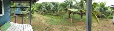 a view of a yard with palm trees and a house at Suan Proud Koh yao noi in Ko Yao Noi