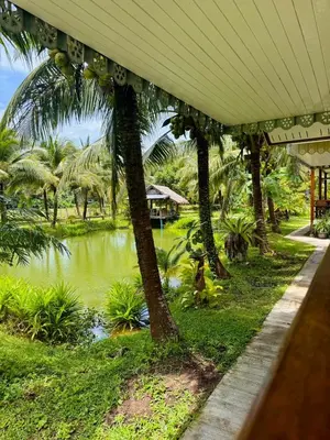 a view of a pond with palm trees and a building at Bang Mee Homestay Koh Yao Noi in Ko Yao Noi