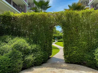 an archway in a hedge next to a sidewalk at Title Rawai Phase III by Beringela in Rawai Beach
