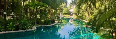a pool of blue water in a garden with palm trees at Villa on The Rocks, 4 bedrooms, Phuket in Surin Beach