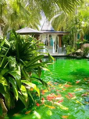 a pool of green water with kites in it at Villa on The Rocks, 4 bedrooms, Phuket in Surin Beach