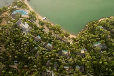an overhead view of a forest of trees next to a beach at Island Escape Burasari in Phuket Town