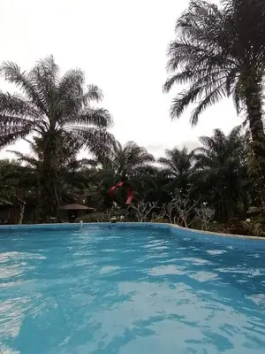 a large swimming pool with palm trees in the background at Koom Kachanaan in Ban Nong Thale