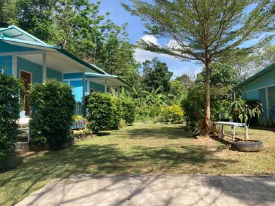 a yard next to a blue house with a tree at Baan seefa homestay kohyaoyai in Ko Yao Yai