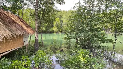 a body of water next to a house and trees at At Thara Aonang in Ao Nang Beach