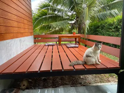 a cat sitting on a wooden bench next to a dog at Green Mountain Resort Koh Yao in Ko Yao Yai
