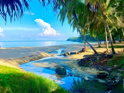 a beach with palm trees and the ocean at Villa in the Garden, Surin Beach with private spa. in Surin Beach