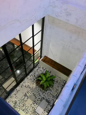 a plant sitting on the floor of a room at Niece Hostel Phuket - Bangtao Beach in Ban Thalat Choeng Thale